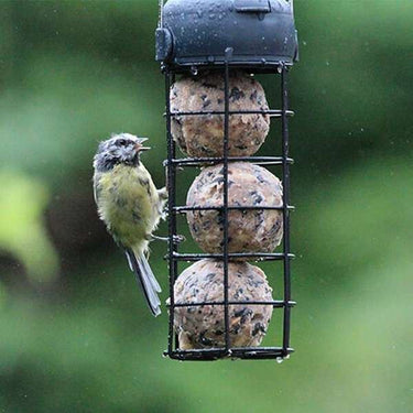 Henry Bell - Essentials Wild Bird Fatball Feeder